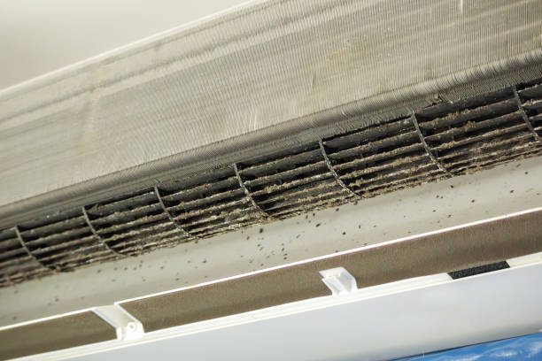 Best Air Duct Cleaning Company Near Me  in Benton, KY